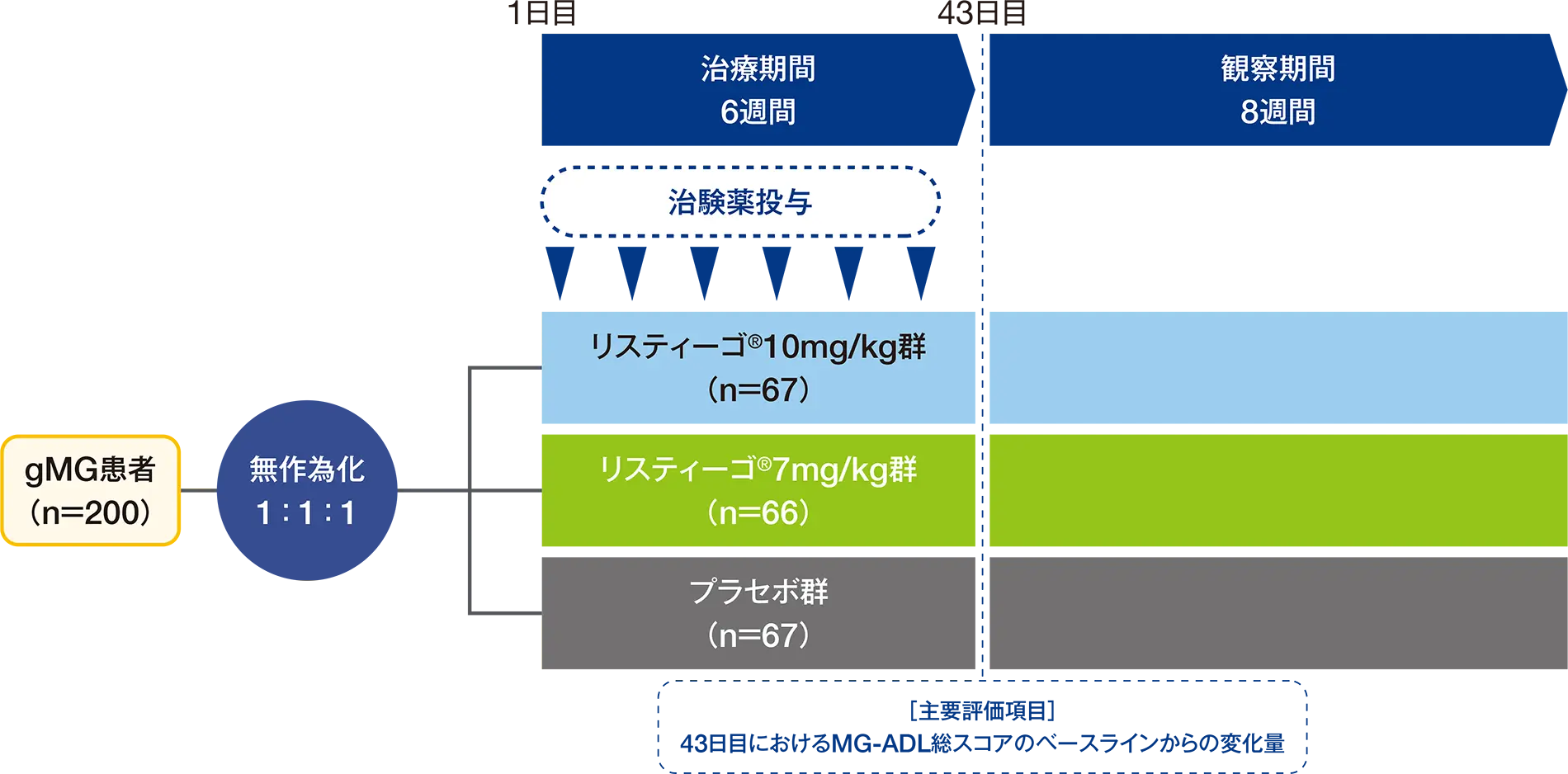 国際共同第Ⅲ相二重盲検試験（MG0003試験［検証的試験］）の投与方法