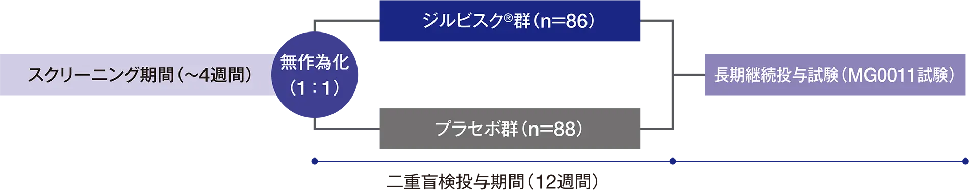 国際共同第Ⅲ相二重盲検試験（MG0010試験［検証的試験］）の試験デザイン